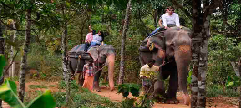 kerala-elephant-ride