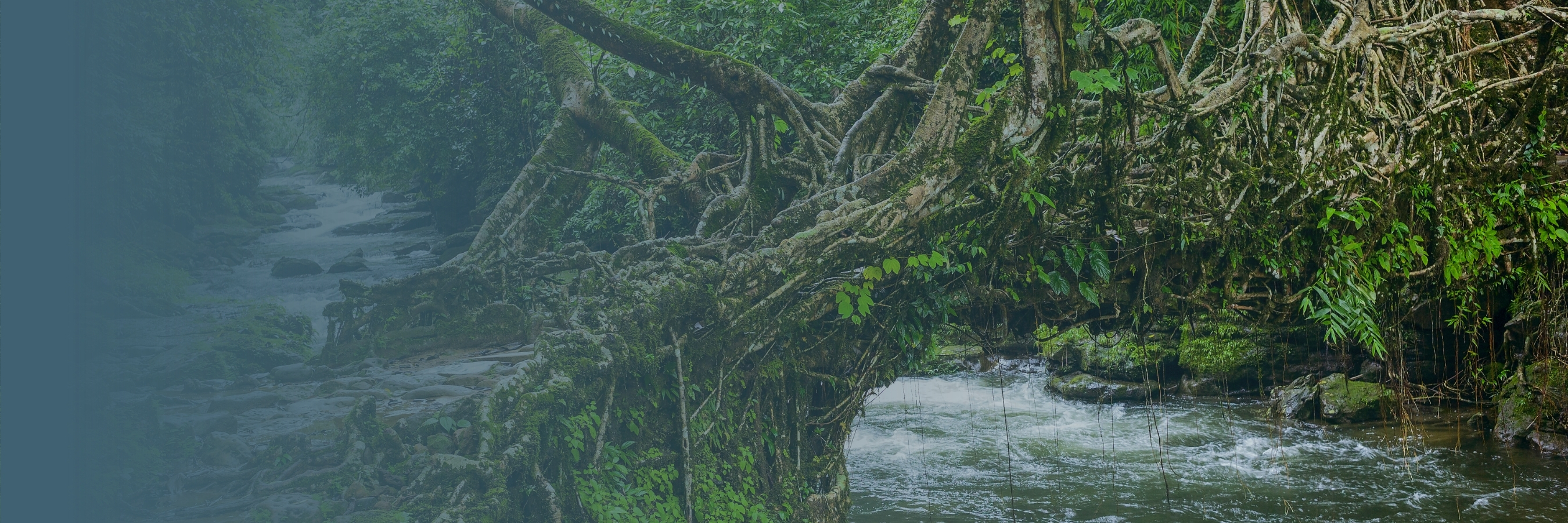 Emerald Trails of Love – A Romantic Meghalaya Escape with Elephant Falls