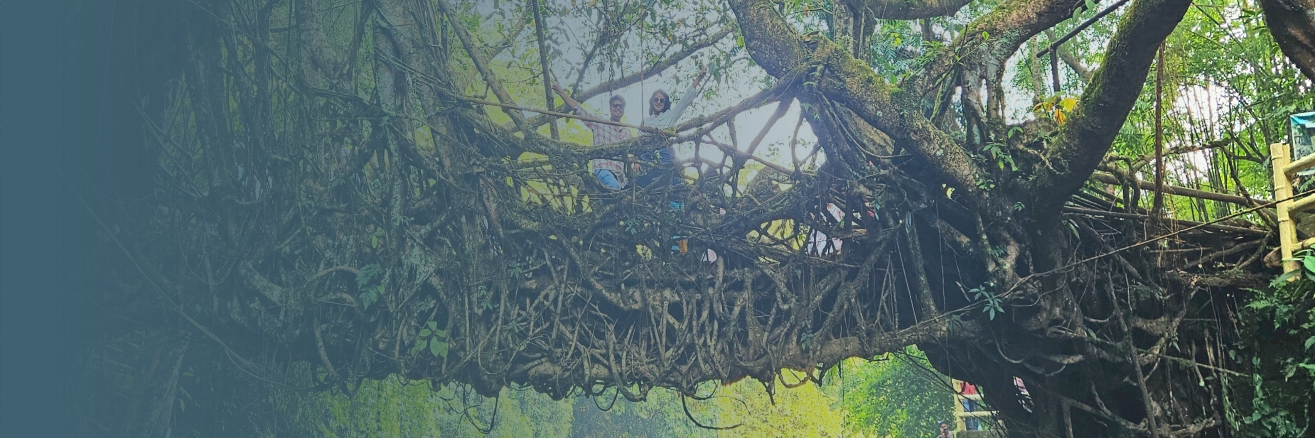 Family Wonders of Meghalaya – Hills, Waterfalls & Living Root Bridges