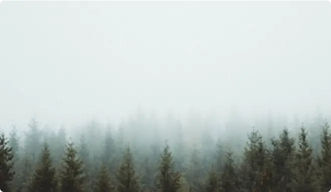 Discovering Cultural Heritage